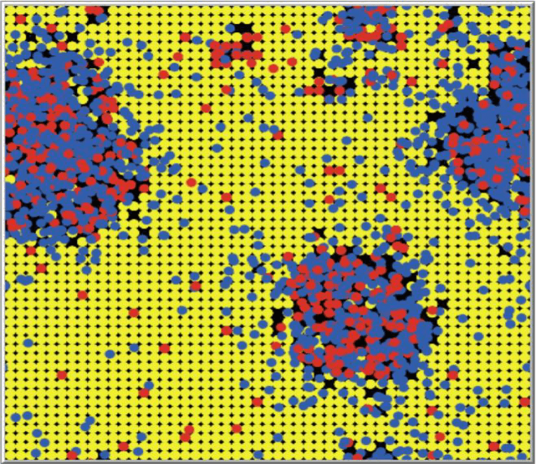 Cancer dynamics modelling.