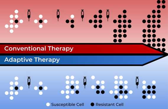 An image of adaptive therapy in action.